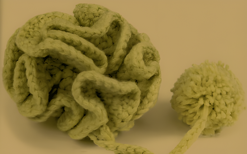 Gehäkelte Brosche mit Pompons. Ein faszinierendes Accessoire