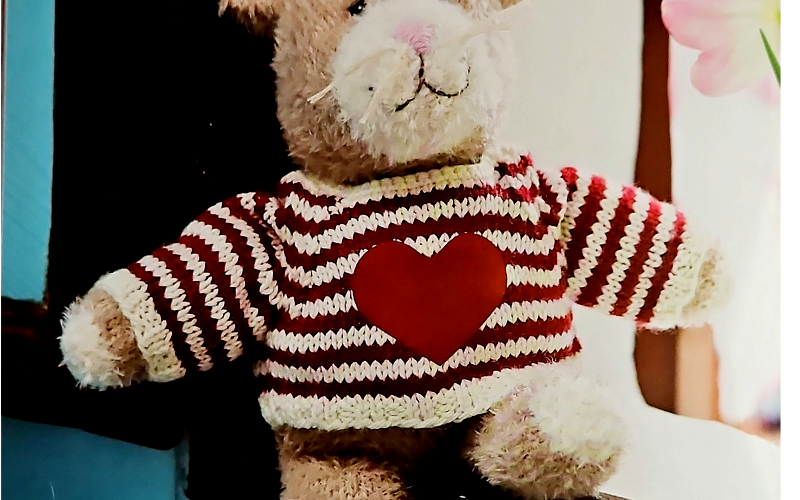 Gestrickter Raglanpulli. Anleitung für Anfänger und Profis